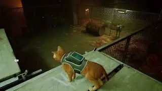 Stray - серия 6 // Прохождение игры Stray - чиним радиовышку и ищем секретную лабораторию