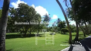 Business Voice Anywhere + Fioptics Business 400 Internet