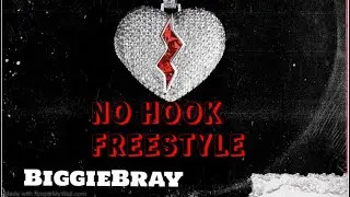 BiggieBray - “No Hook Freestyle” (Official Audio)