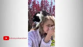 KEDİLERİN İNANILMAZ KOMİK HALLERİ - Komik Kediler  #komikvideolar