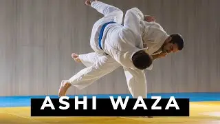 3 ท่าทุ่มยูโด Ashi Waza : Harai goshi, Uchi mata, Hane goshi
