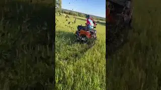 5 августа 2024 г.