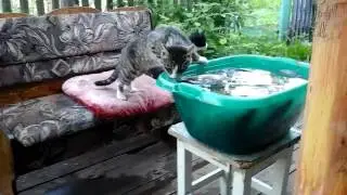 рыбаки мои
