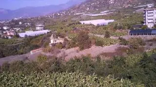 Drone çekilen video em-x drone  Alanya kestel muz bahçeleri
