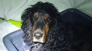 РЯПУШКА по ПЕРВОМУ ЛЬДУ. 