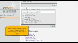 Tutorial: Copying a database table with phpMyAdmin | LayerOnline Web Hosting