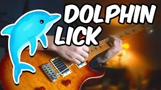 I accidentally played a dolphin-calling guitar lick