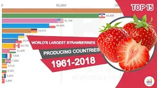 World's Largest Strawberries Producing Countries 1961-2018