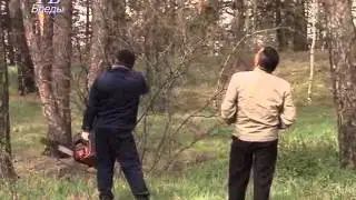 Оздоровительные мероприятия в парке