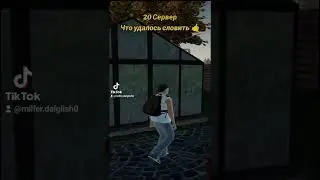 Я играю на RADMIR CRMP 15 Server.