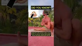 Pelvic floor awareness 