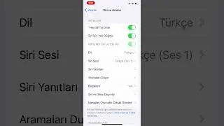 How to Call Siri on iPhone