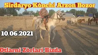 Arzon Bozordan Otlar narxlari Sirdaryo Kònchi 10.06.2021(1-qism)