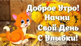 Доброе Утро! Начни Свой День С Улыбки! Музыкальная видео открытка