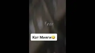 Кот Мияги? #shorts #youtubeshorts #youtuber