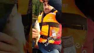большой окунь?