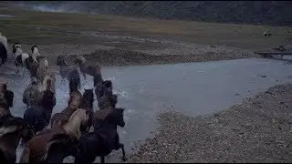 Iceland II (2019)