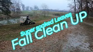 Super Soaked leaves Fall Clean UP