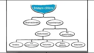 Ensayos Clínicos Sobre El Cáncer Parte 2: Fases del ensayo clínico