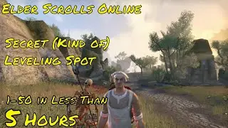 Elder Scrolls Online Secret (Kind of) Leveling Spot From 1-50 in Less Than 5 Hours!