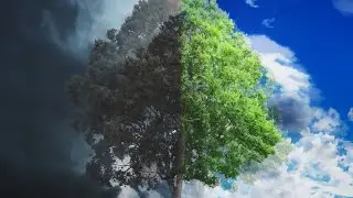 The Nature of Good and Evil  a Visual Definition