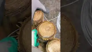 DIY-Kräuterspirale 🤩🌱
