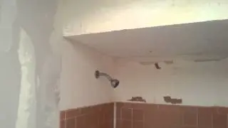 Kafka - Bathroom Wallpaper Down