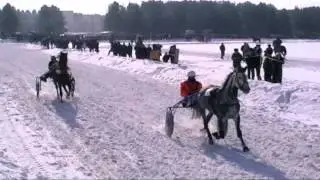 Верхняя Тура 8марта конно-спортивные состязания
