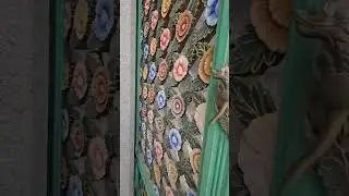 Бесплатная еда в Южной Корее.