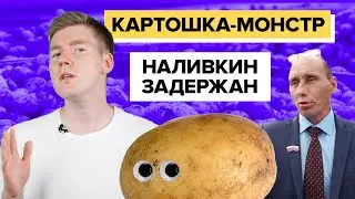 Картошка - монстр! || Вымышленный депутат