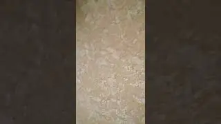 #memes