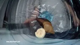 Хахатина