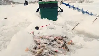 Капризная рыба перед морозами. Засадили уазик в снегу.