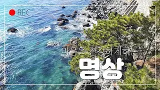 몸을 살리는 자연치유 풍욕그리고 명상! 암 자연치유 완치되었어요. 나는자연인이다.