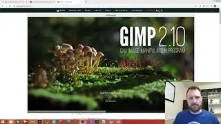 Gimp and the OBS overlay