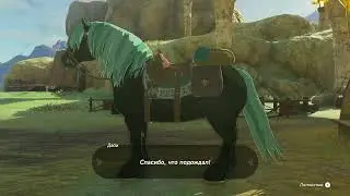 TLoZ TotK Playthrough RU 601 Lynel | Coocking | Malanya Bed