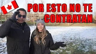 LA REALIDAD DE BUSCAR TRABAJO EN CANADA 🇨🇦