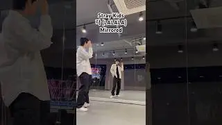 Stray Kids (스트레이 키즈) ‘락 (樂) (LALALA)’ Dance Mirror 안무 거울모드 