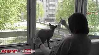 🐱 Защитная сетка решетка антикошка КОТ Stop, для двух сфинксов на два балконных окна