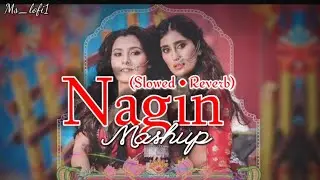 Nagin Mashup🧞‍♀️🧞‍♂️ //Slowed + Reverb//