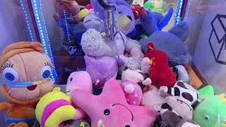ЛОВИТЬ БОЛЬШИХ МИШЕК ВСЕГДА НЕПРОСТО 🫣 УПИРАЛСЯ, НО СДАЛСЯ👌