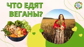 Что едят веганы |  Какая еда у веганов и вегетарианцев | Проект DinaVeganClub