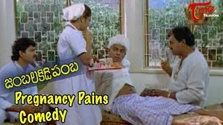 Jamba Lakidi Pamba || Brahmanandam Pregnancy Pains Comedy Scene