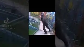 Вылетел с карусели 
