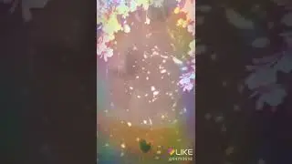My LIKE app video