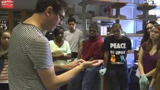 MCB80x: Welcome to the HarvardX Neuroscience MOOC