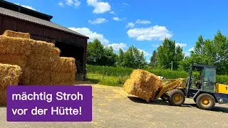 FarmVlog#179 - Stroh Chaos vor der Ernte