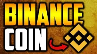 BNB Coin Review