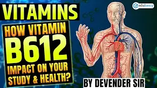 How Vitamin B12 Impact on Your Study & Health ? Current Affair 2025
