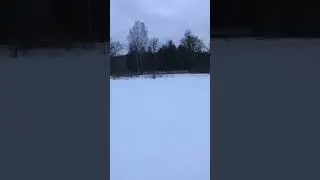 я на блолоте